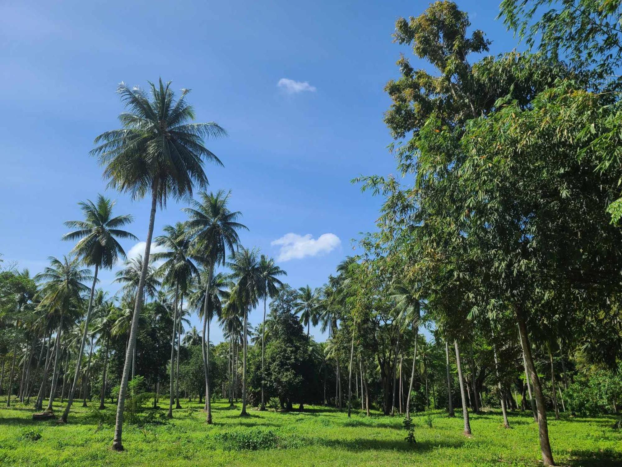 The Secret Garden Homestay Koh Yao Yai Ko Yao المظهر الخارجي الصورة