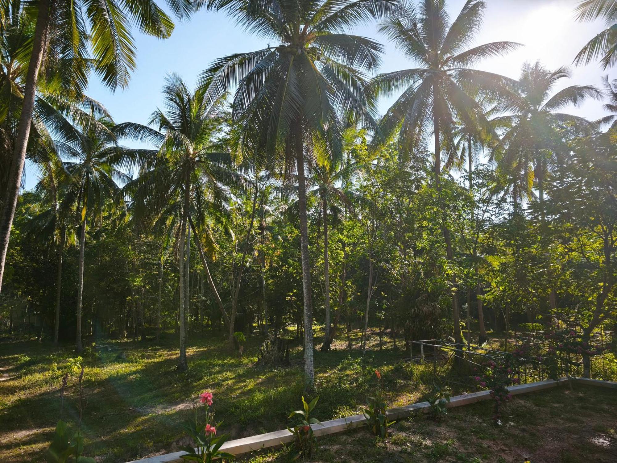 The Secret Garden Homestay Koh Yao Yai Ko Yao المظهر الخارجي الصورة