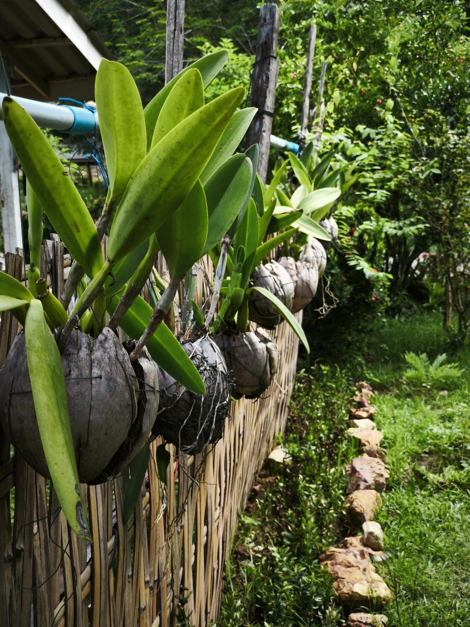 The Secret Garden Homestay Koh Yao Yai Ko Yao المظهر الخارجي الصورة